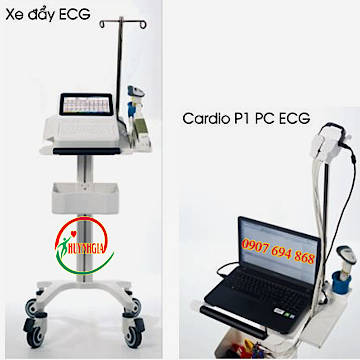 Máy điện tim 12 kênh có chức năng đo hô hấp kế Q50 ECG
