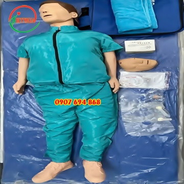 Mô hình thực hành hồi sinh tim phổi toàn thân model: LD/CPR110